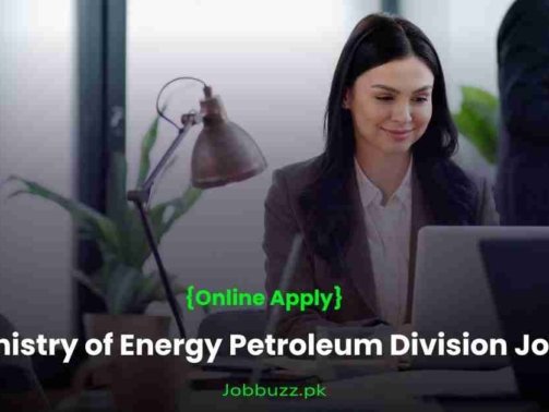 Ministry-of-Energy-Petroleum-Division-Jobs