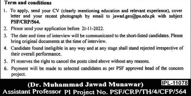 Application Process for University Of The Punjab Lahore Jobs