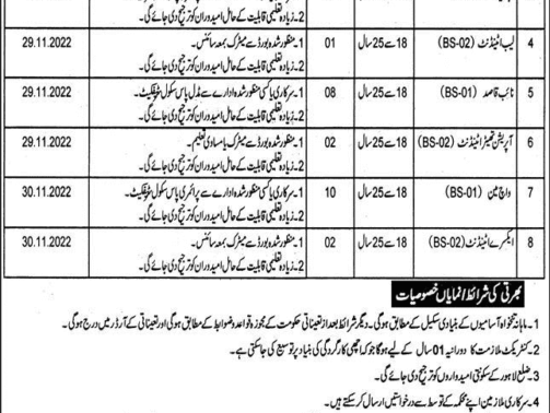 District-Health-Authority-Jobs-Lahore
