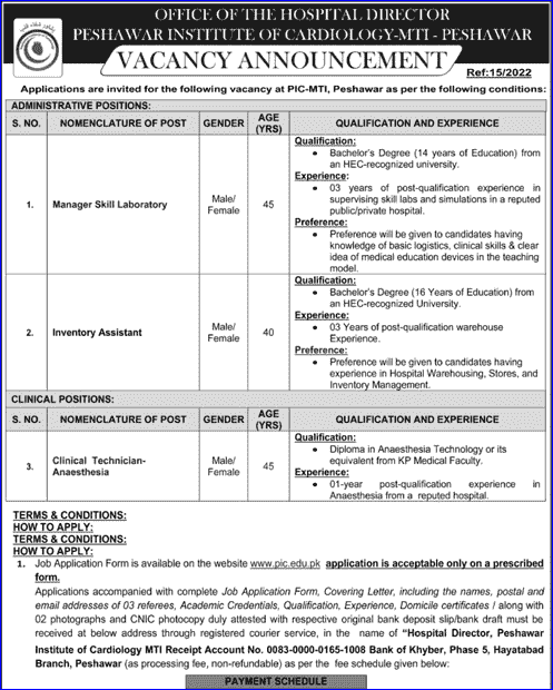 Peshawar Medical And Teaching Institute Jobs