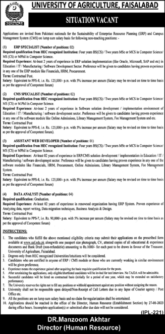 University Of Agricultural Faisalabad Jobs 2023