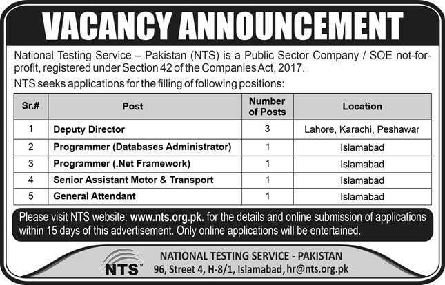 National Testing Services Jobs