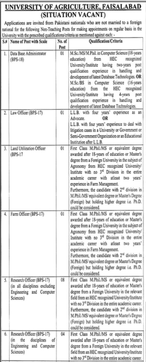 University Of Agricultural Faisalabad Jobs 2023 | Agricultural