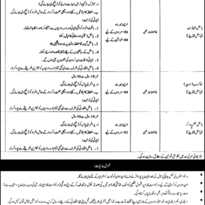 University Of Sargodha Jobs 2023 Online Apply 12 University Of Sargodha Jobs 2023 Online Apply