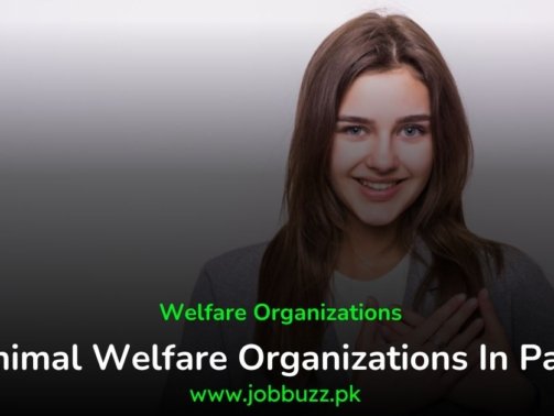 Animal-Welfare-Organizations
