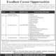 Minhaj-University-Jobs-Minhaj-University-Jobs-Advertisement